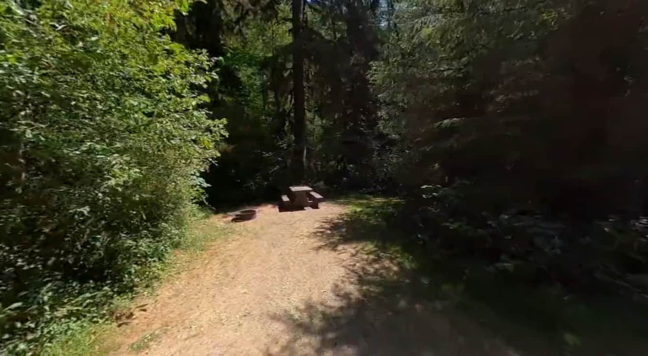 North Fork Campground (WA)
