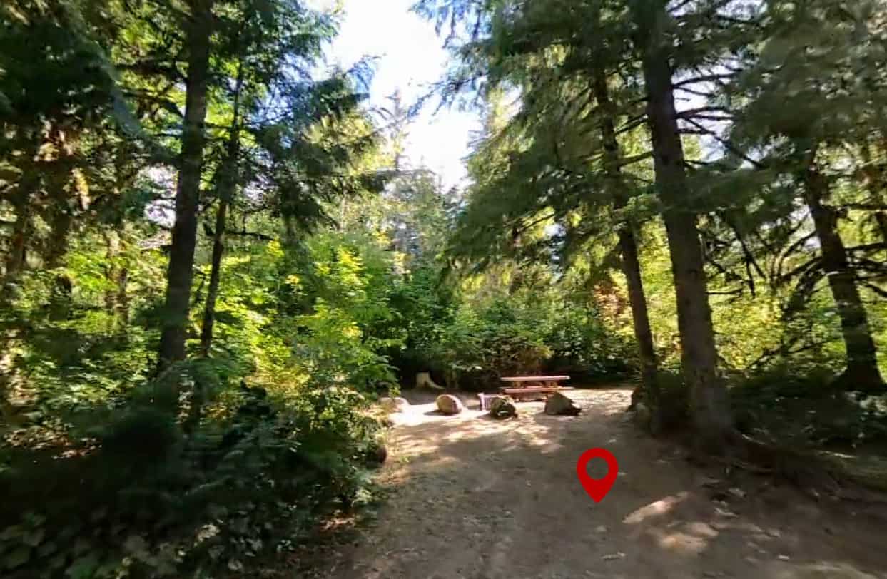 Shannon Creek Campground