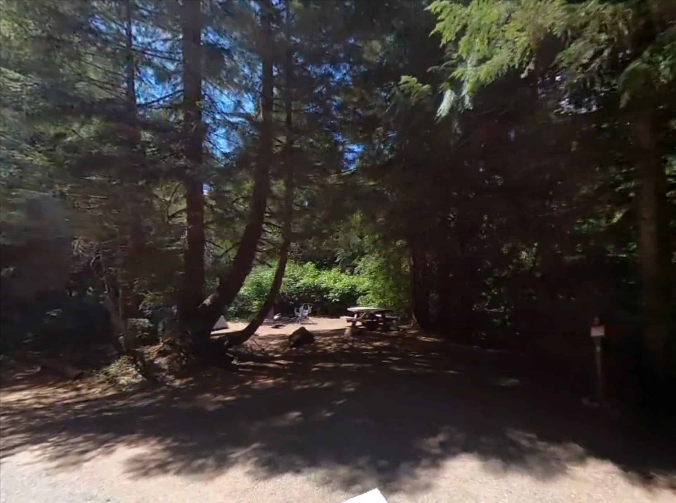 Silver Fir Campground