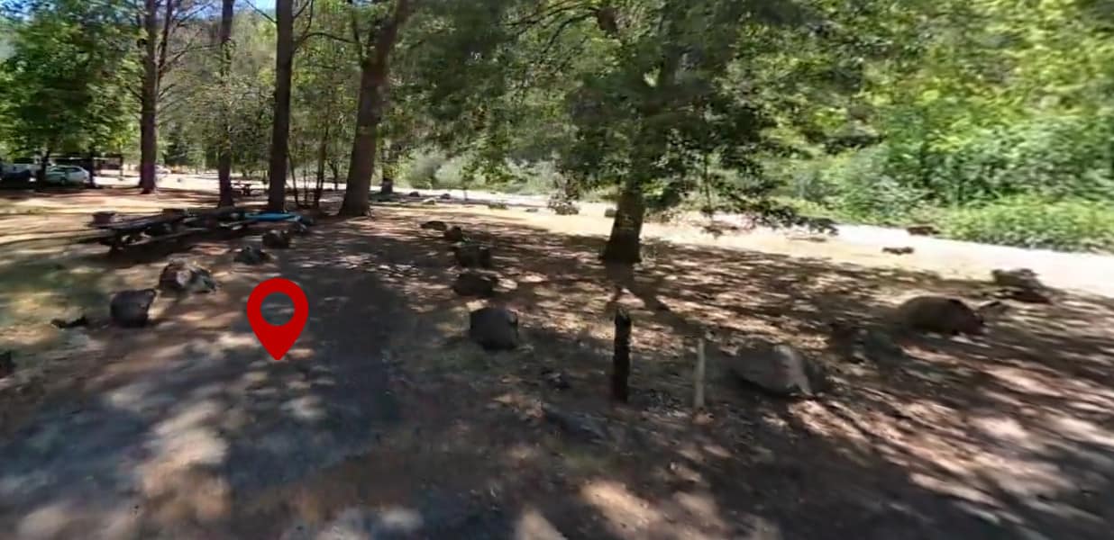 Tree Of Heaven Campground