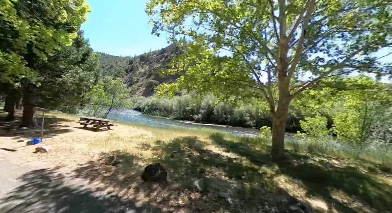 Tree Of Heaven Campground
