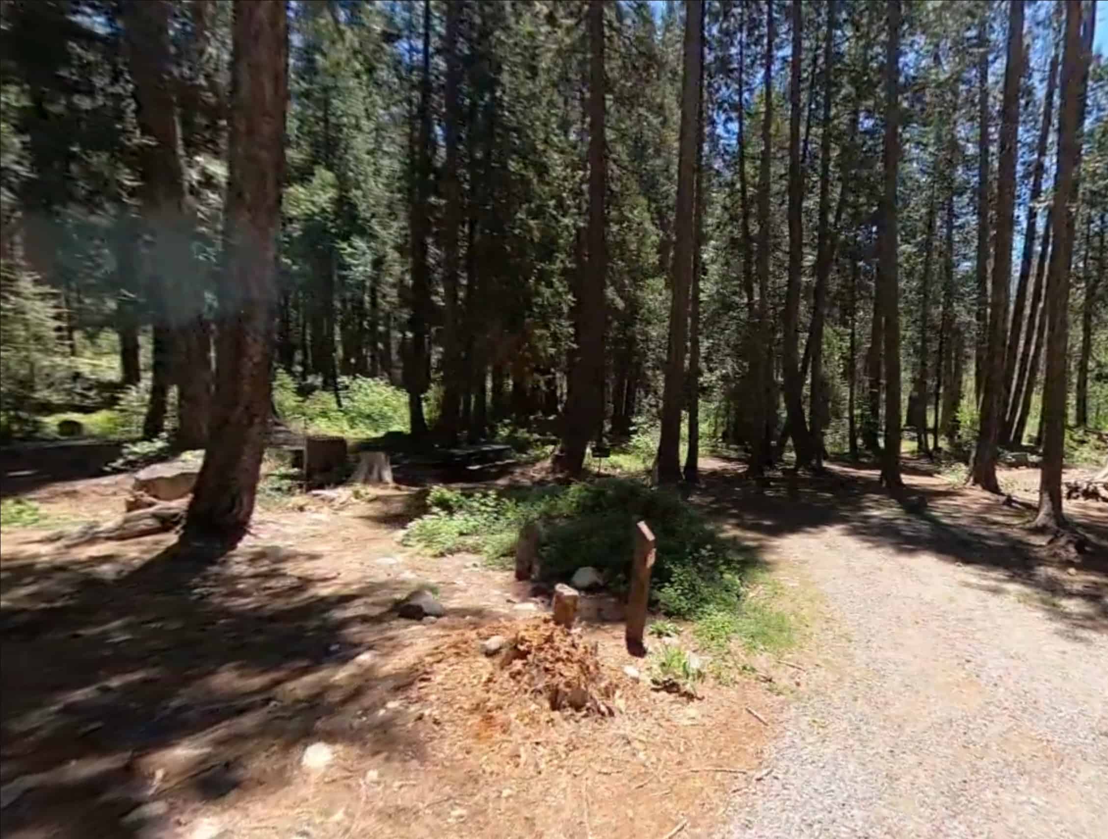 North Fork Campground(CA)