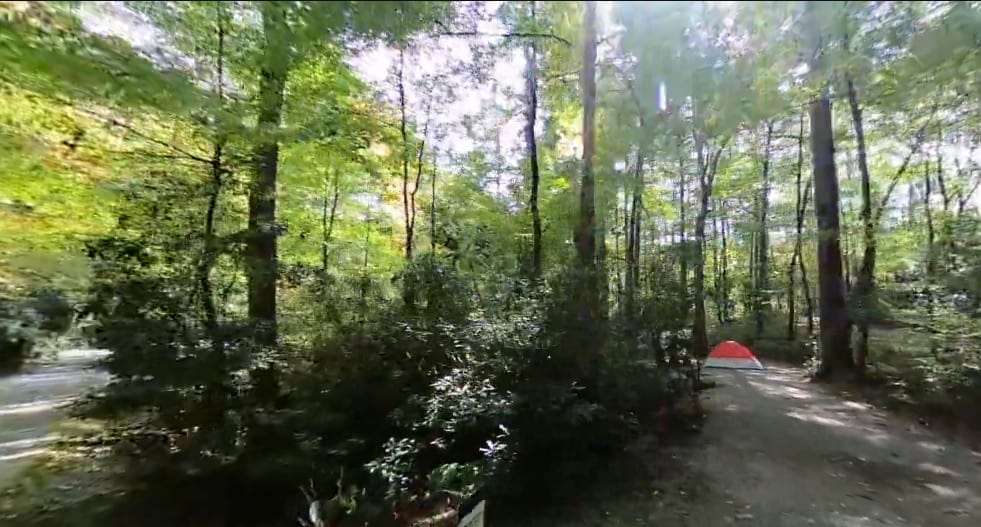 Van Hook Glade Campground