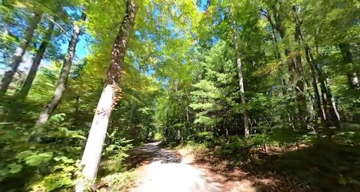 Cardens Bluff Campground