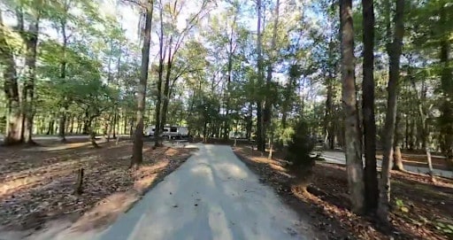 Gunter Hill Campground