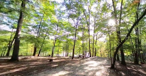 Lake Russell Recreation Area Campground