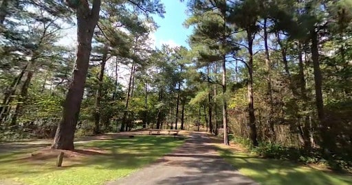 Old Highway 41 #3 Campground