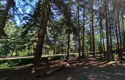 Schwarz Park Campground