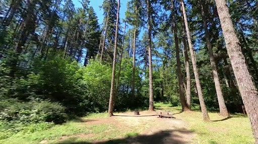 Schwarz Park Campground