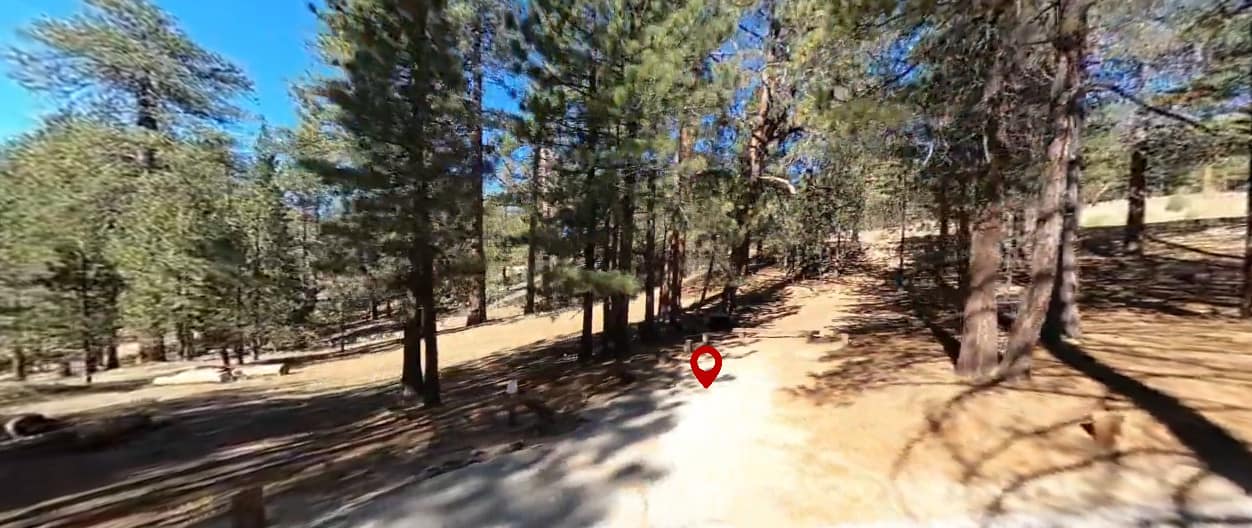 Mt. Pinos Campground