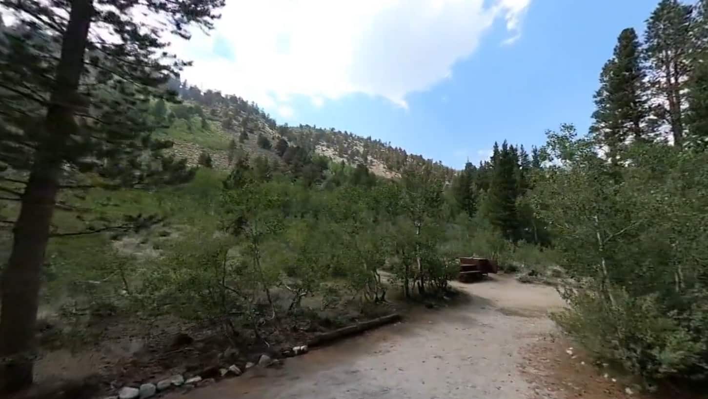 East Fork Campground – Inyo National Forest (CA)