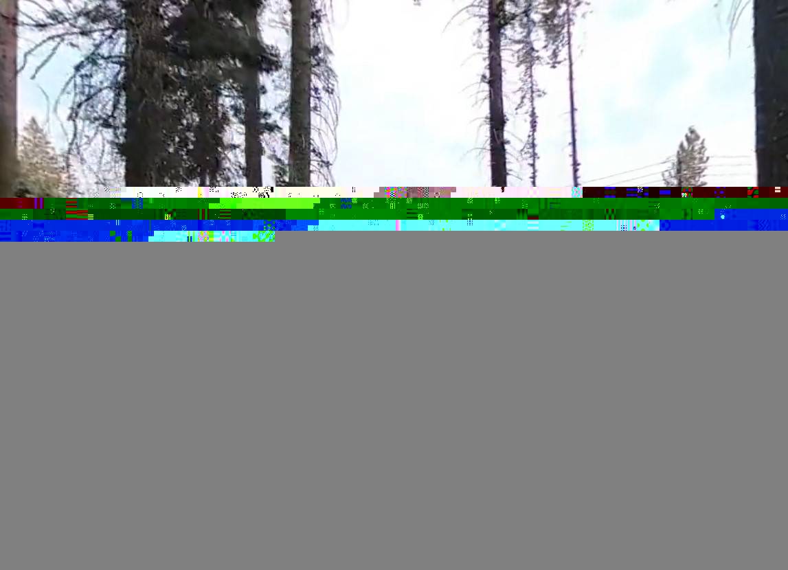 Lower Billy Creek Campgropund