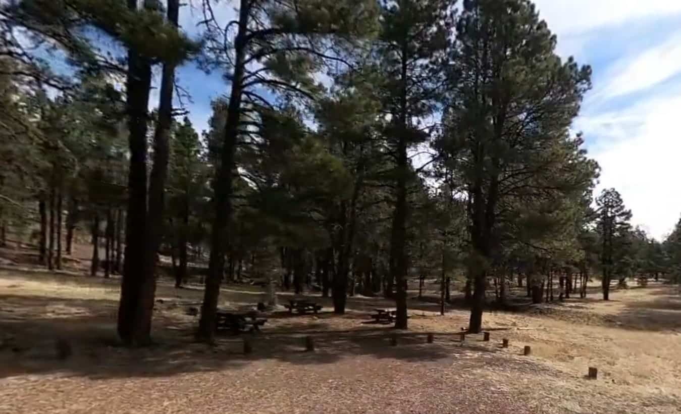 Luna Lake Group Campground