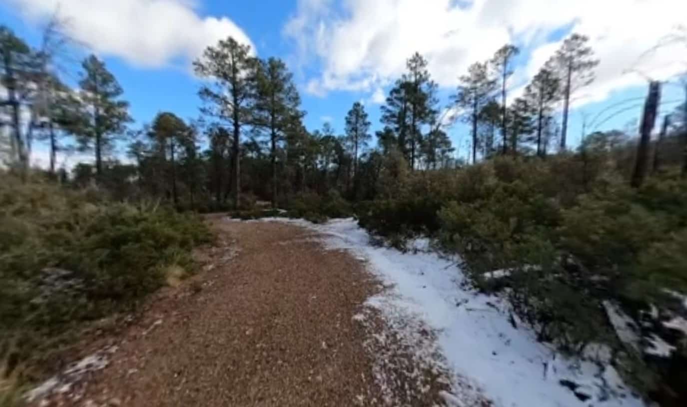 Reef Townsite Group Area Campground