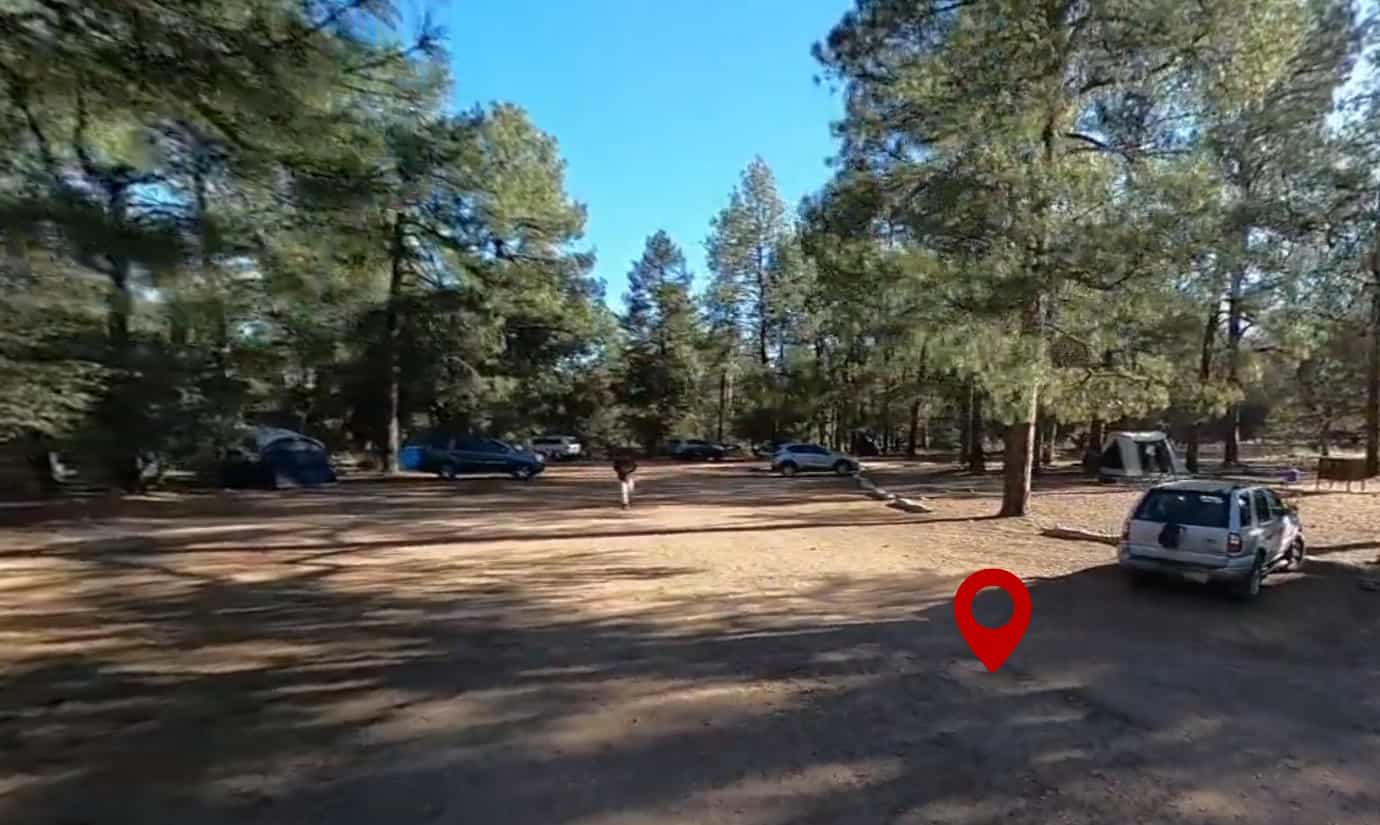 Timber Camp Recreation Area and Group Campground