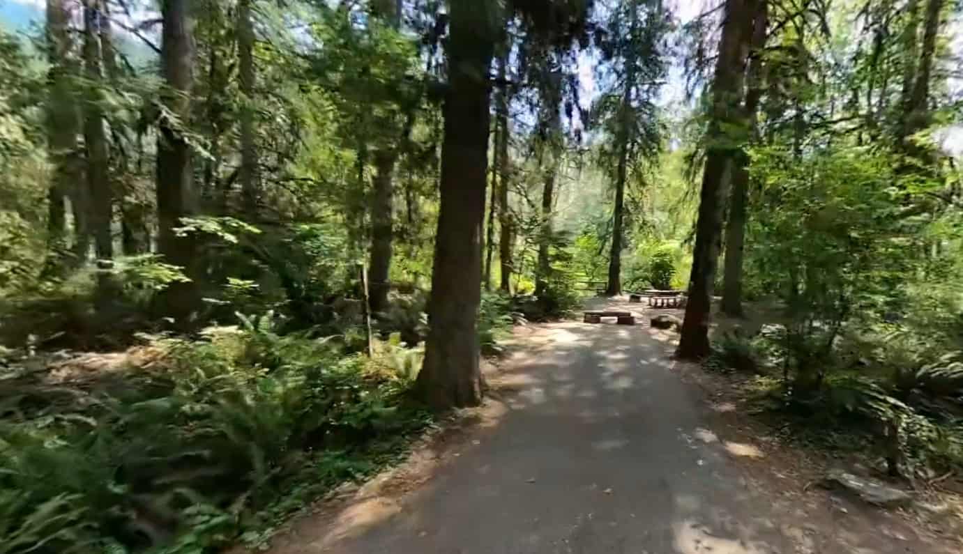 Black Canyon Campground (Willamette National Forest OR)