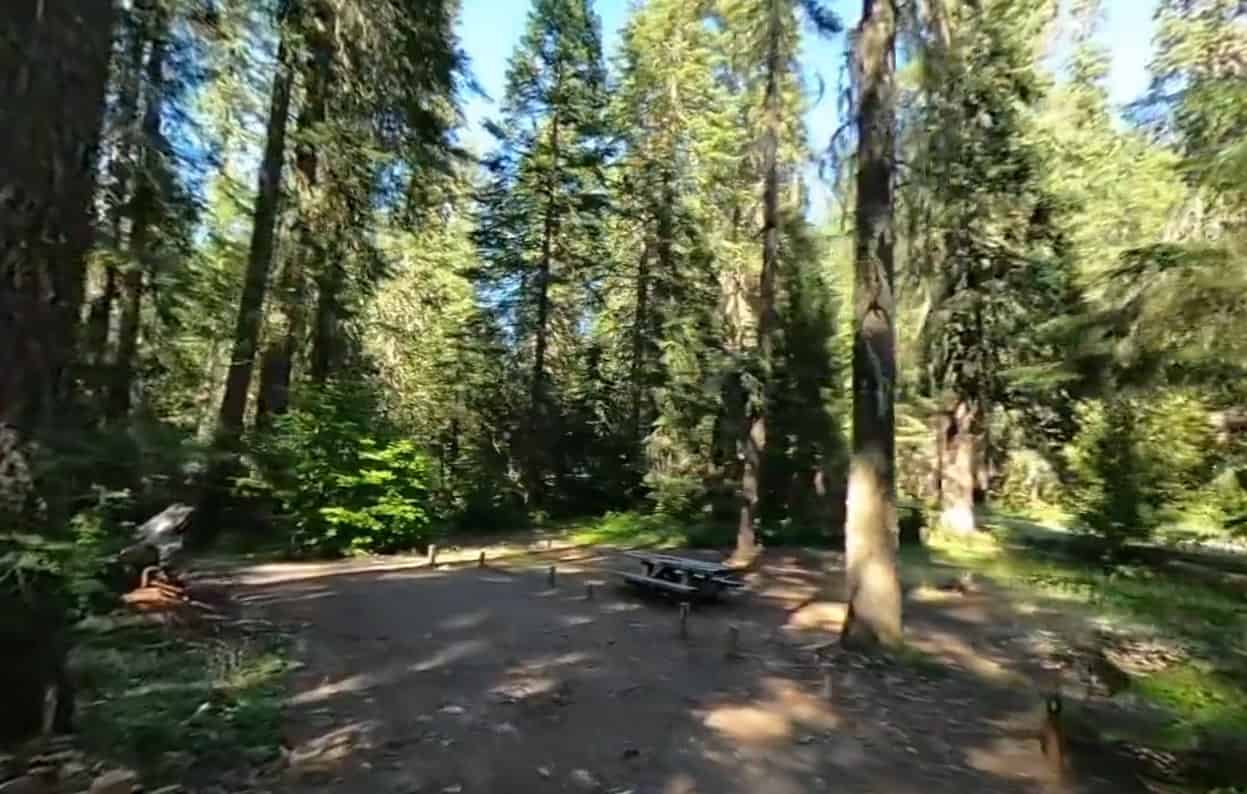 North Fork Campground (OR)