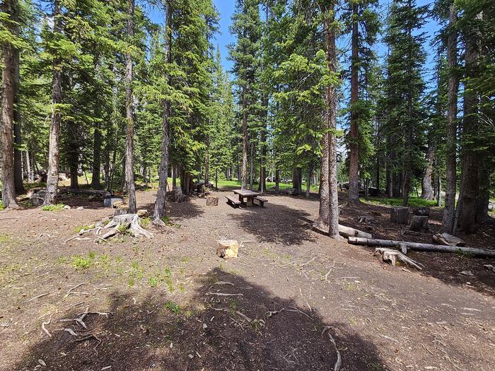 Deep Creek Campground, Medicine Bow-Routt