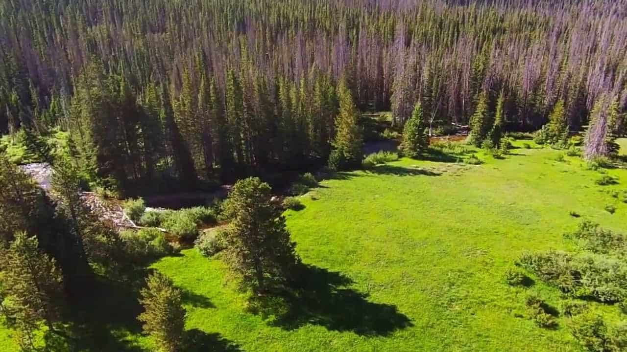 French Creek Campground (WY)