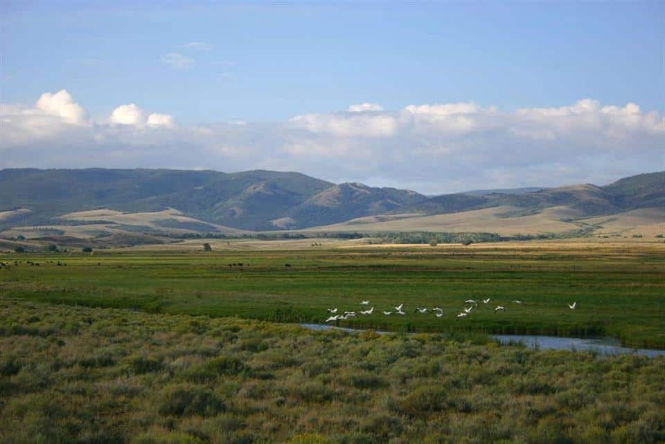 Friend Park Campground