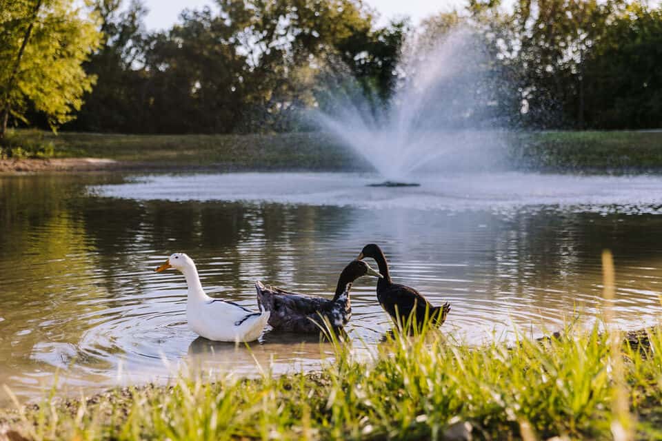 Sugar Hill RV Resort