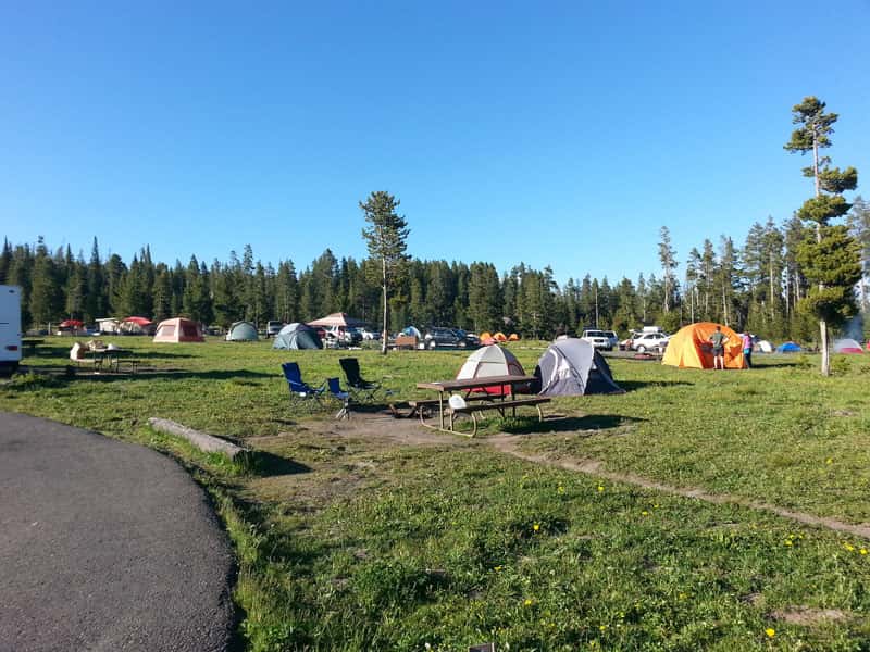bridge-bay-campground-yellowstone-national-park-crowded