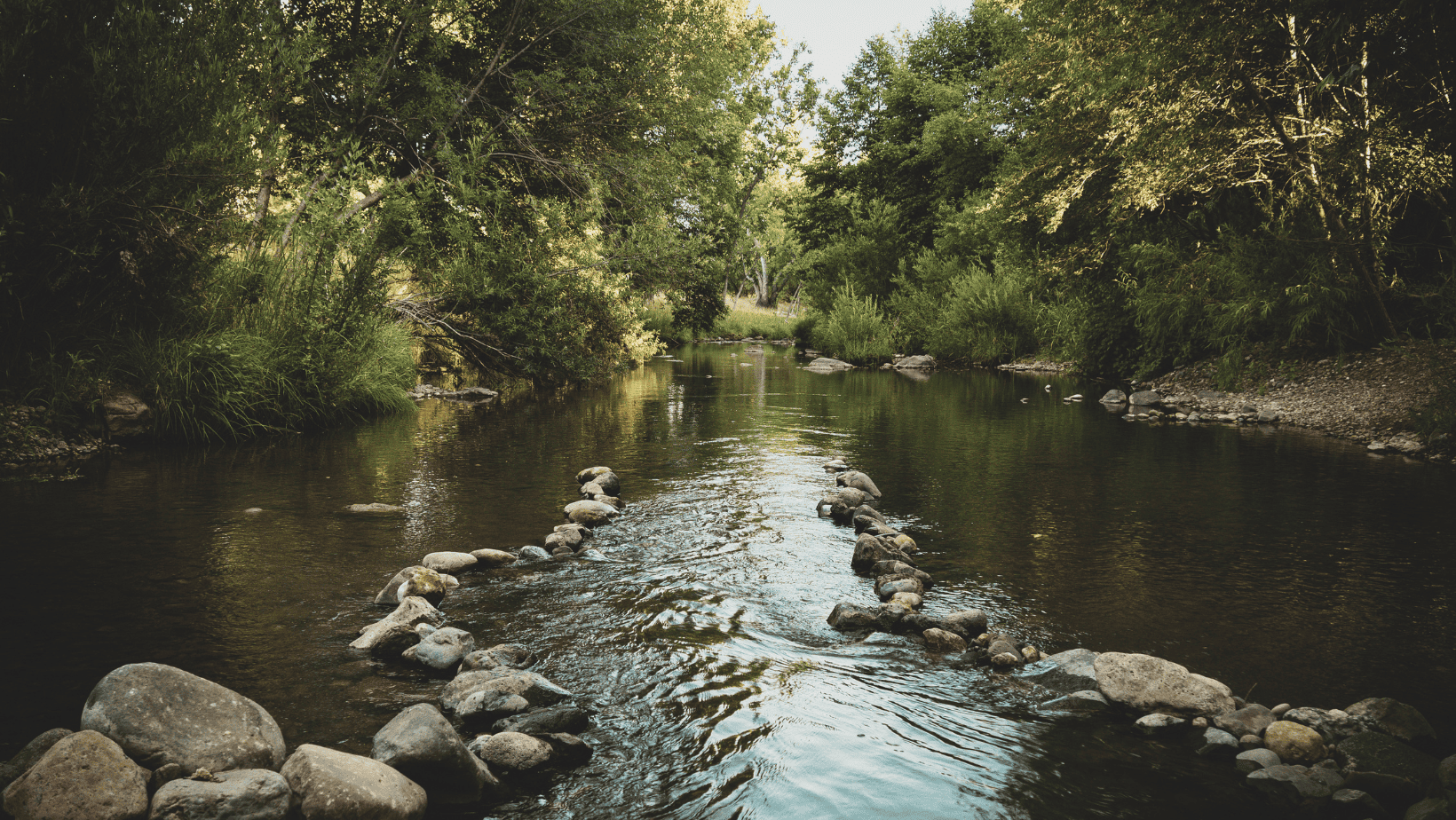 Luxurious Living: 6 Best 5th Wheels with a Front Living Room