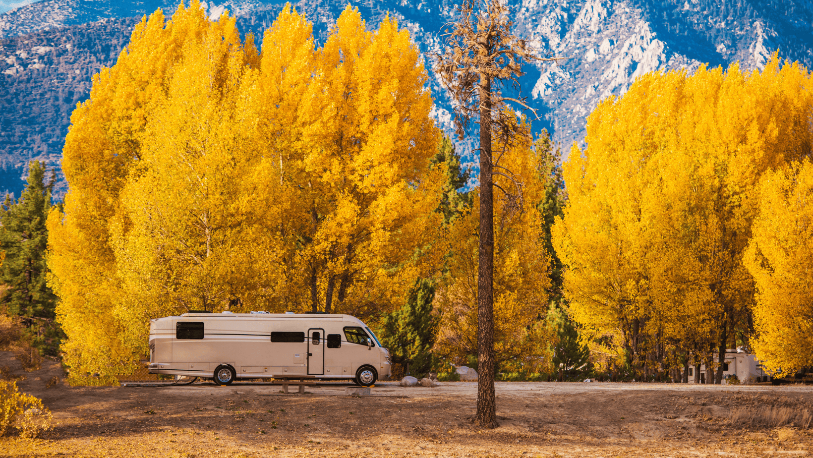 RV Types Demystified: Motorhome vs. Camper - What's the Difference?