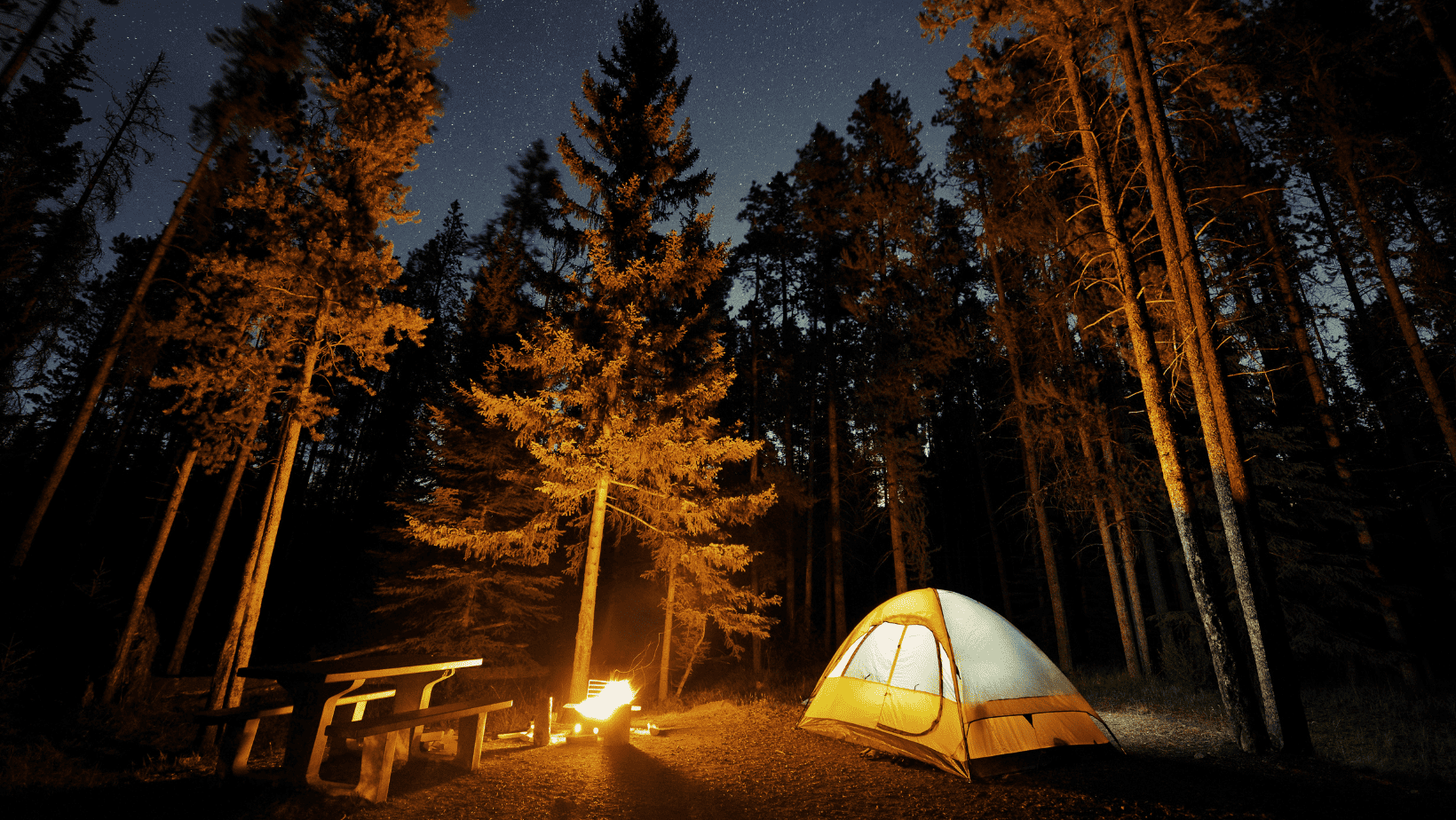 Exploring the Freedom of the Open Road: Best Free RV Camping Destinations