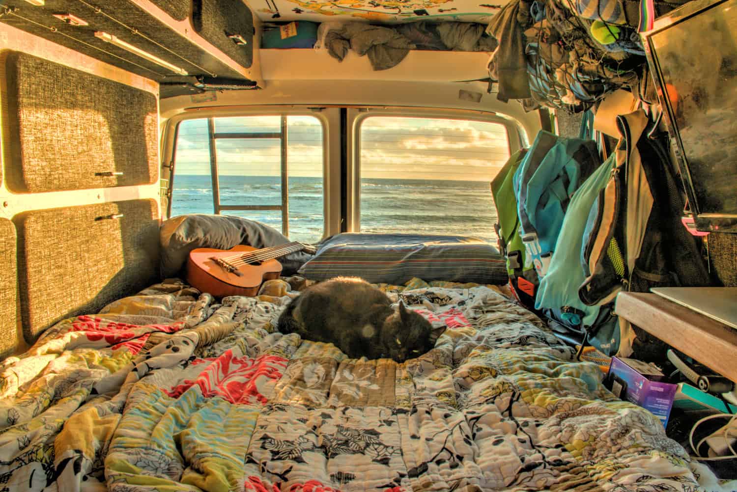 Paws and Wheels: Creating a Cat-Friendly RV Home on the Road