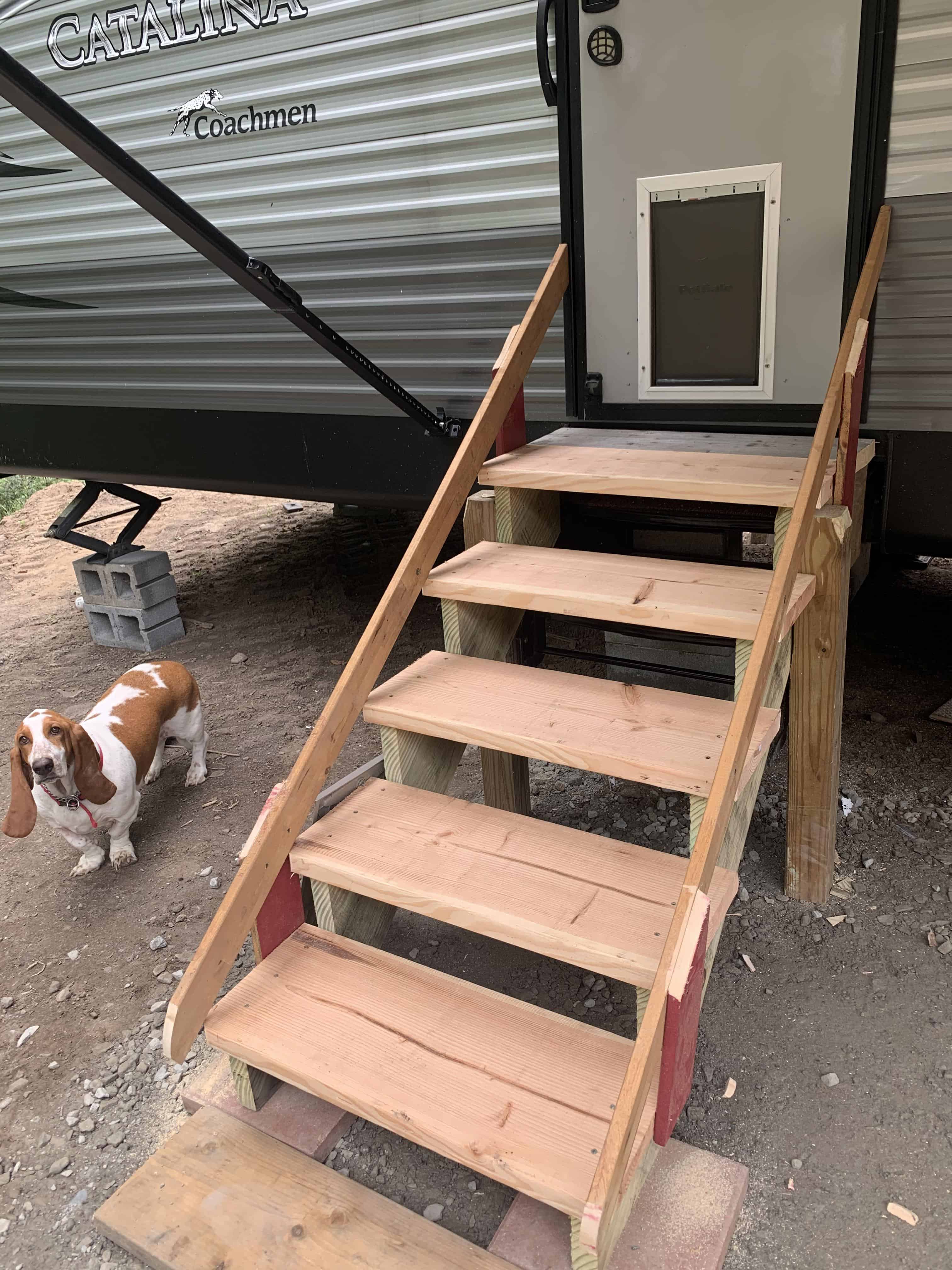 The Ultimate Guide: How to Install an RV Doggie Door