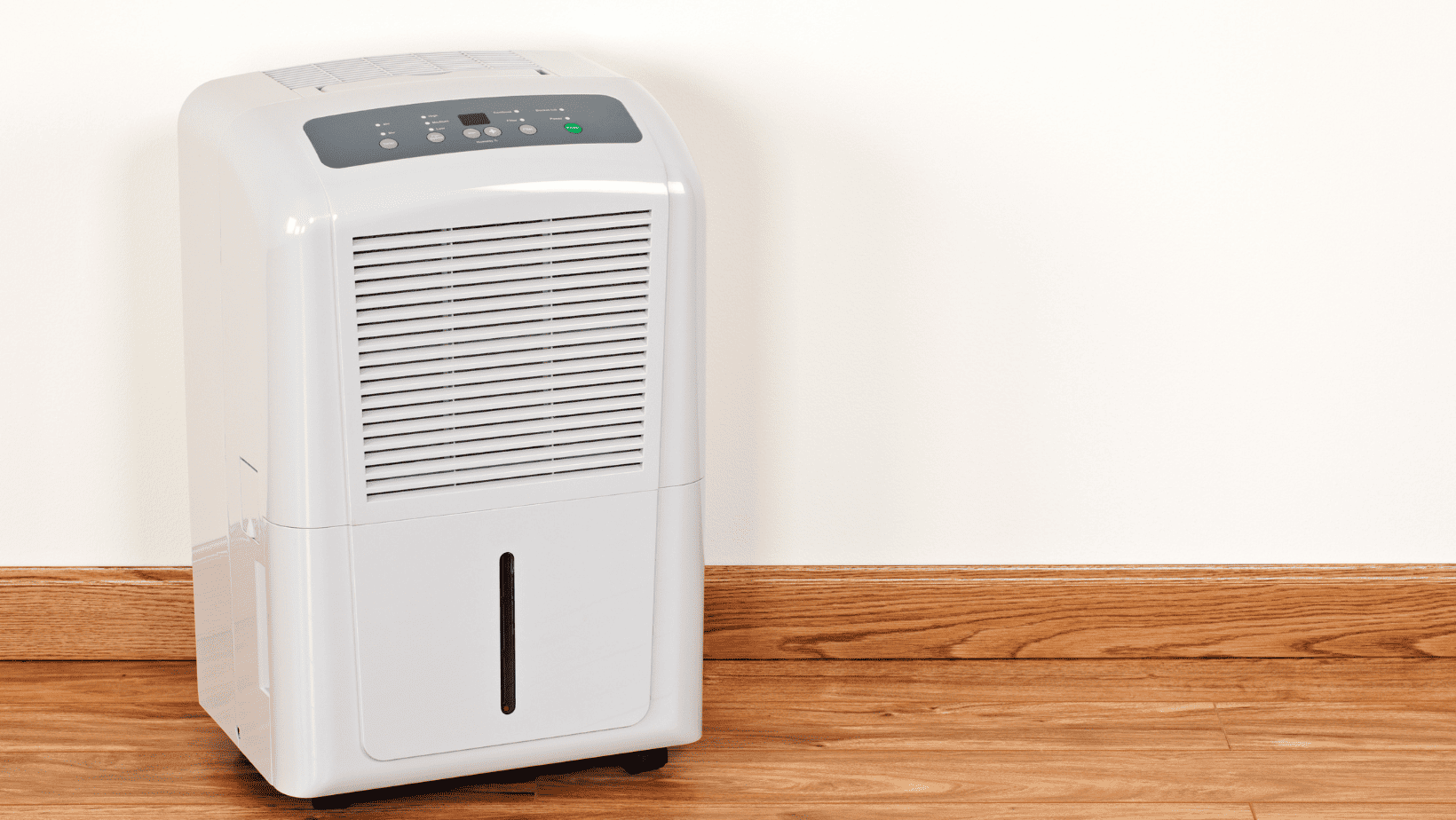 DampRid vs. Dehumidifier: Battle of the Humidity Busters for Your RV