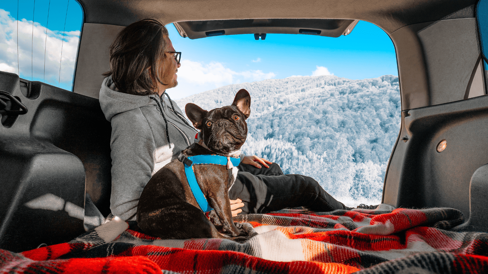 Is it Safe to Leave a Pet in an RV? Tips for Responsible Pet Ownership