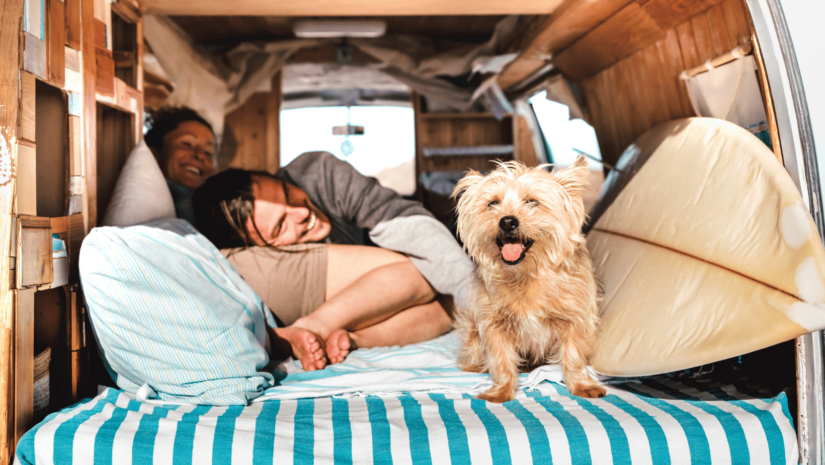 Traveling with Your Furry Friend: Are Dogs Allowed in RV Rentals?