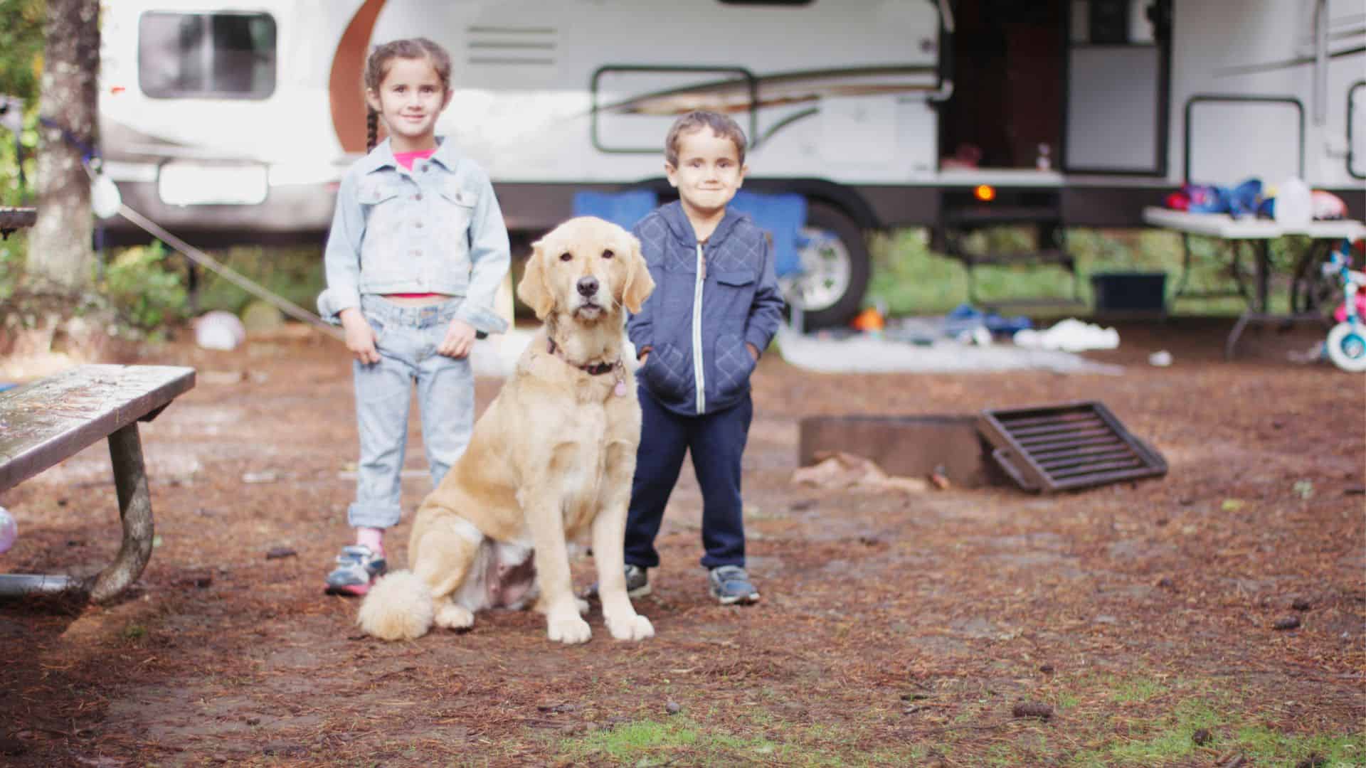 Camp Safely with Fido: The Best Portable Dog Fence for Camping in 2023