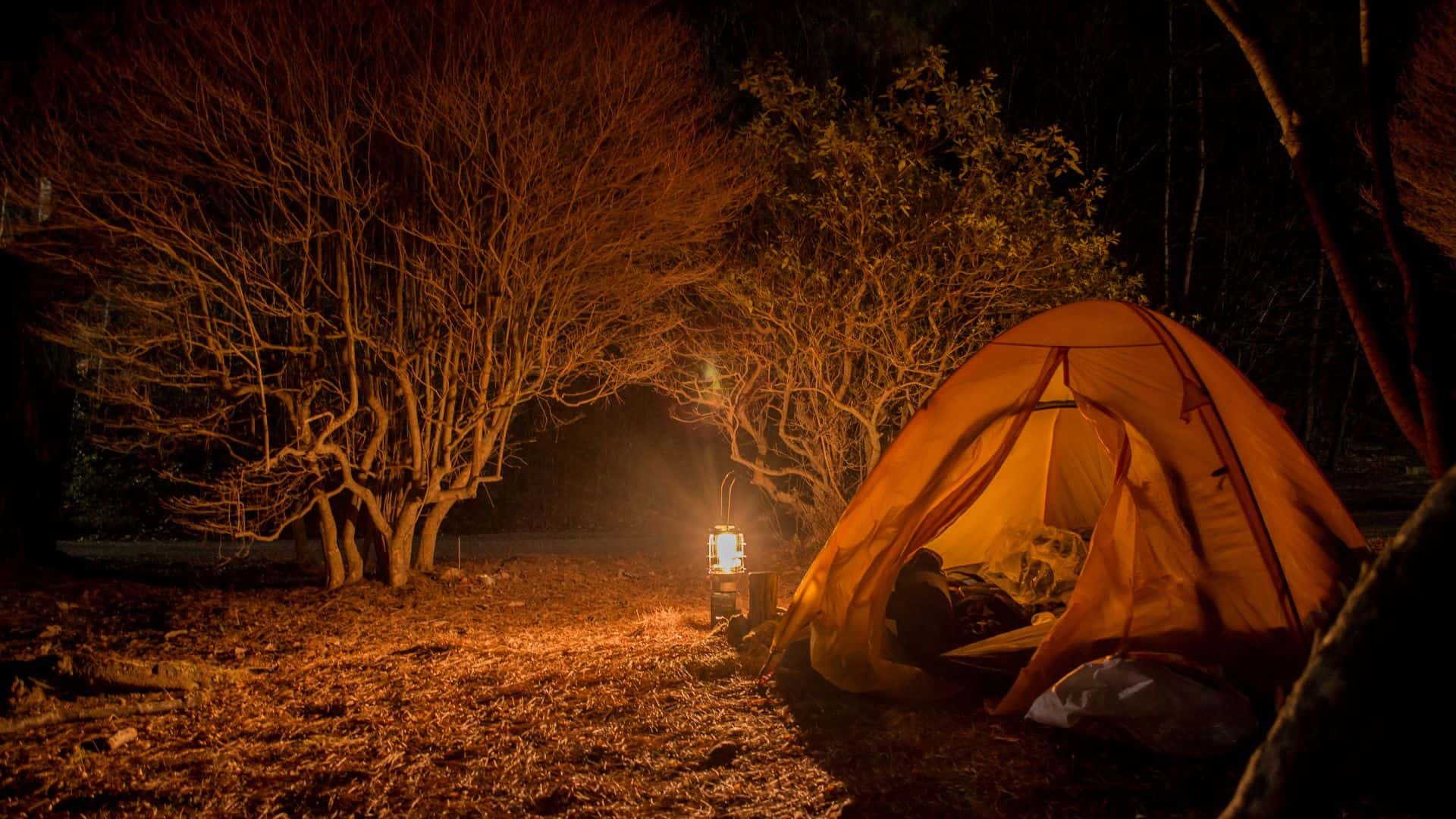 Illuminate Your Adventures: The 5 Best Solar Camping Lanterns