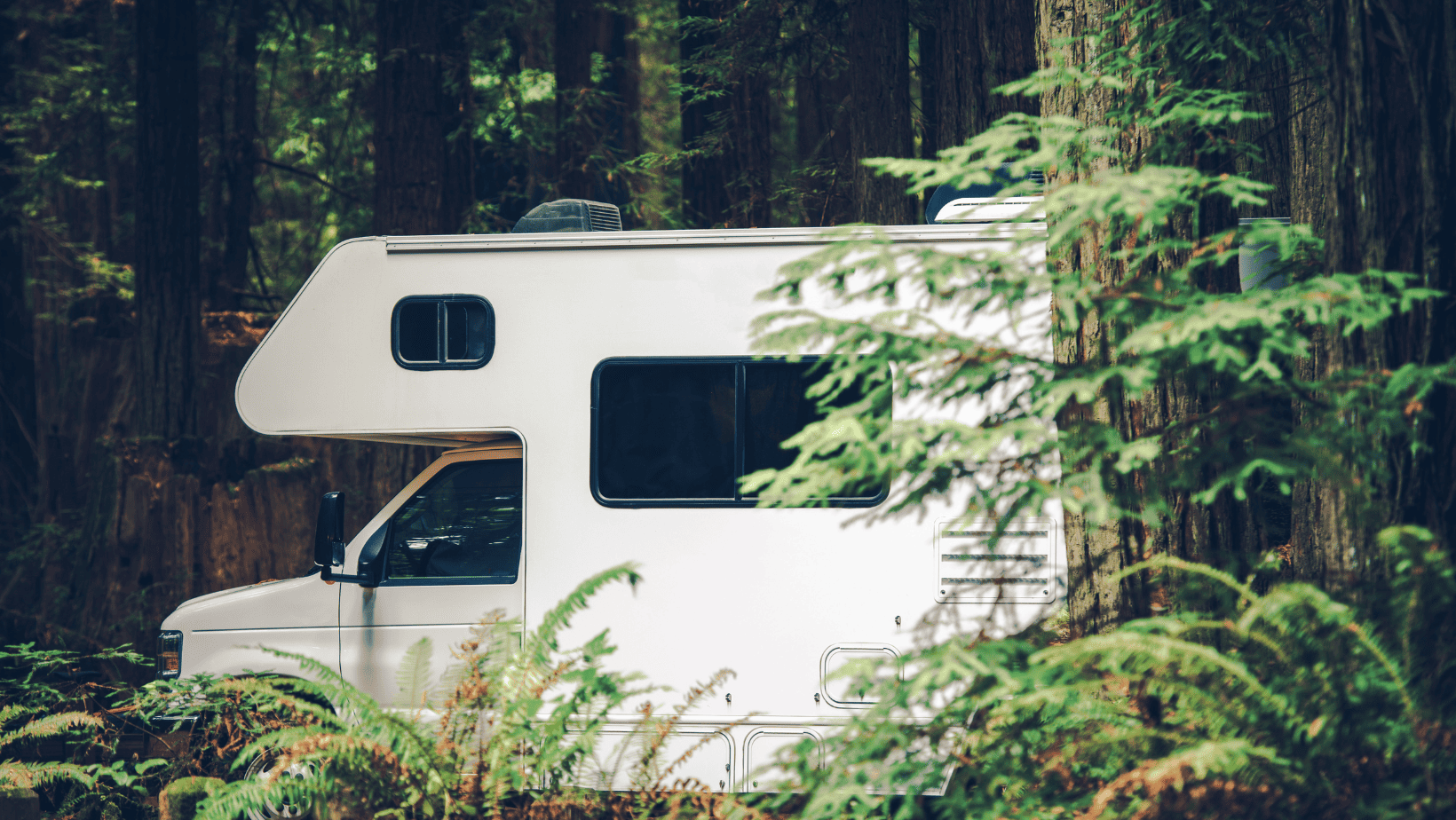 Unplugged Adventure: Boondocking in National Forests