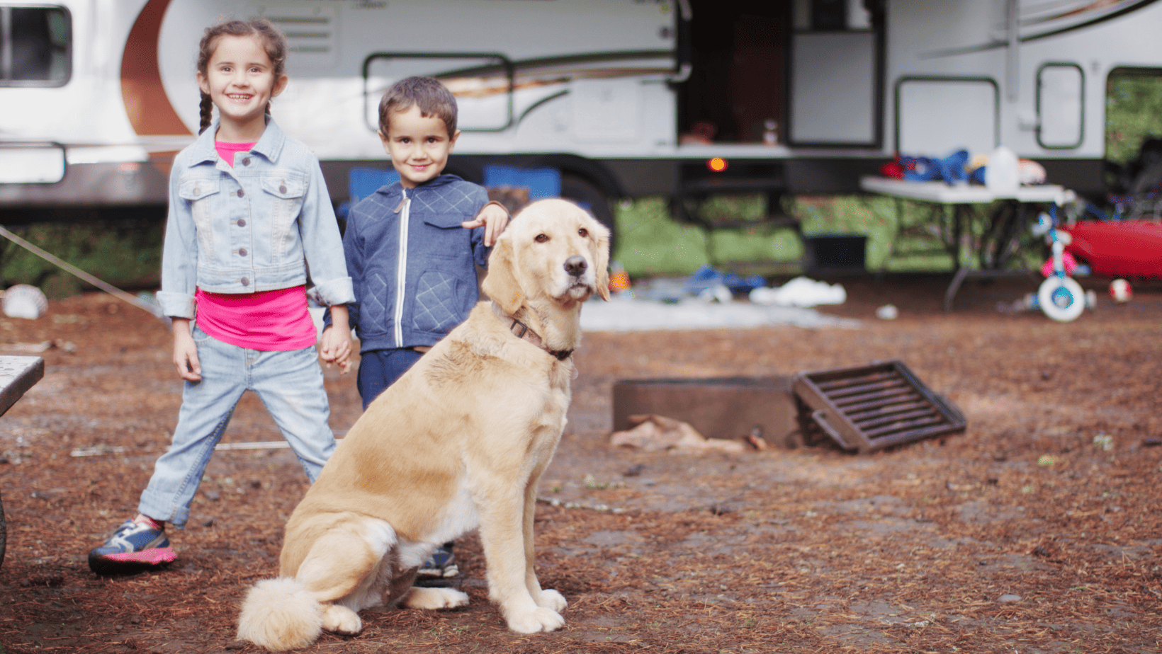 Finding Pet-Friendly Accommodations: A Guide for Traveling with Your Dog