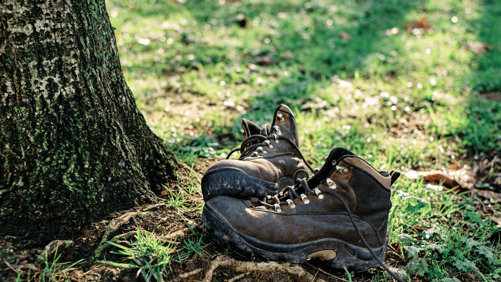 RV Quick Tip: Dealing with Dirty Shoes on Your Camping Adventures