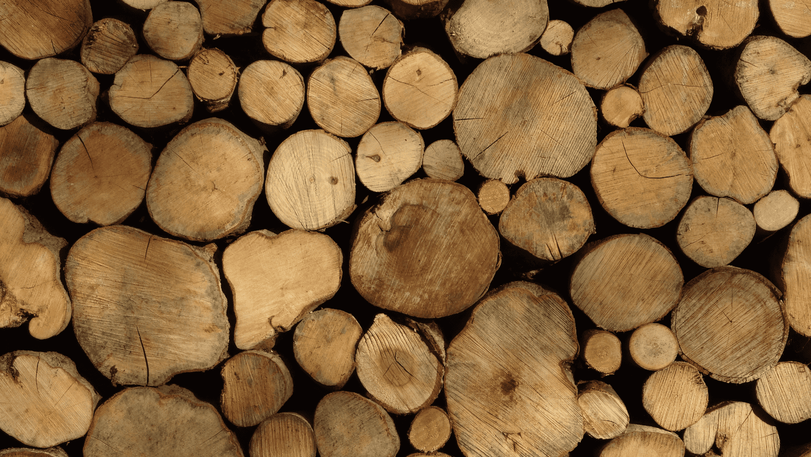 Quick Camping Tip: Drying Out Wet Firewood