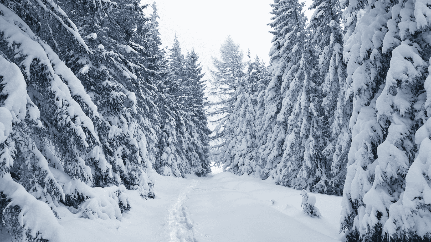 Winter Roadtreking: A Quick Guide to Cold-Weather RV Adventures