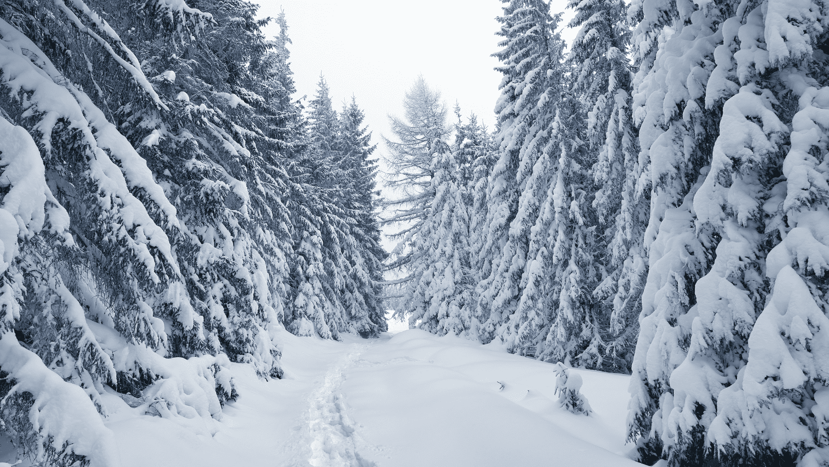 Winter Roadtreking: Keeping Your RV Floors Warm
