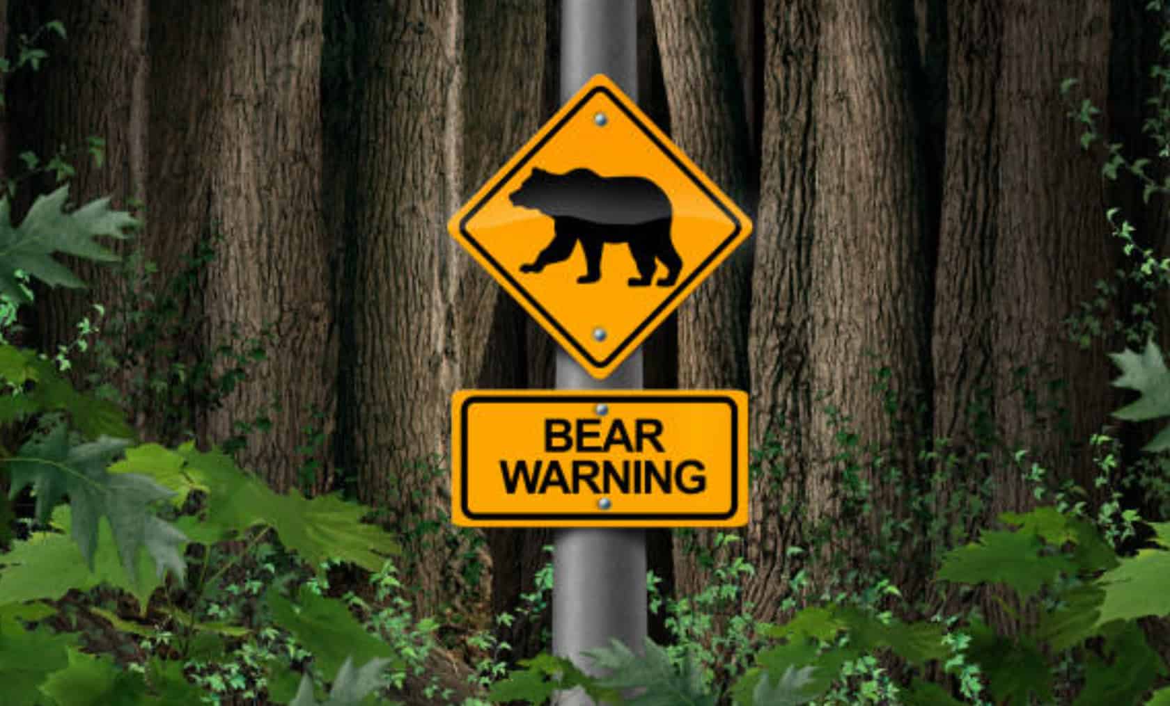 Survive and Thrive: Avoid Outdoor Dangers with These Camping Tips