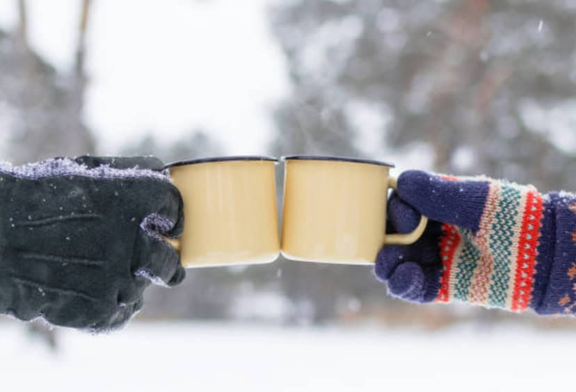 The Best States for RVing Year-Round: Where to Go in Each Season