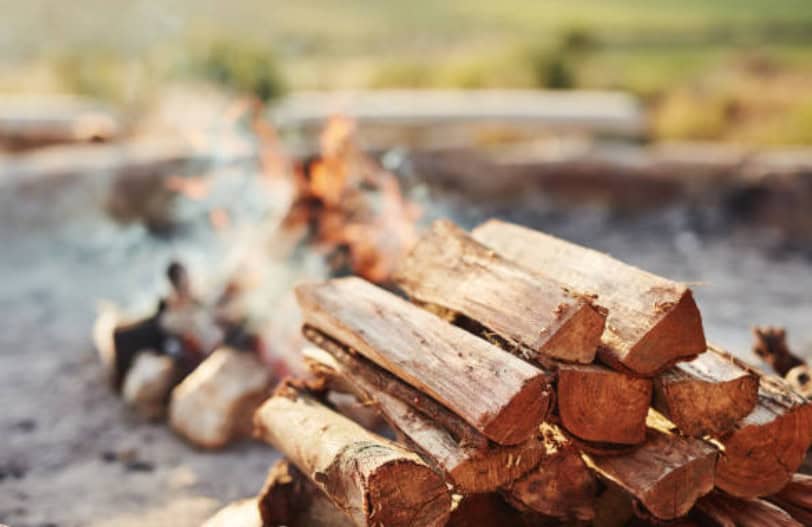 Beyond the Flames: How Firewood Scents Transform Your Campfire Experience