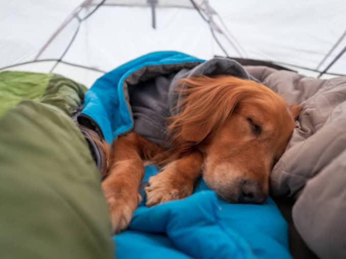 How to Sleep Better While Camping (Even If You’re a Light Sleeper)