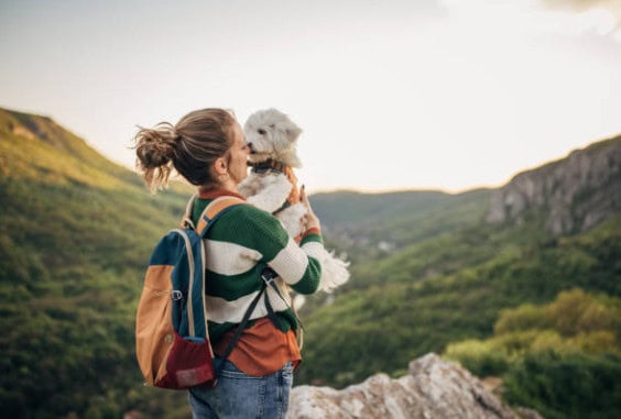 The RV Pet Lifestyle: Tips for Dogs, Cats, and... Ferrets?