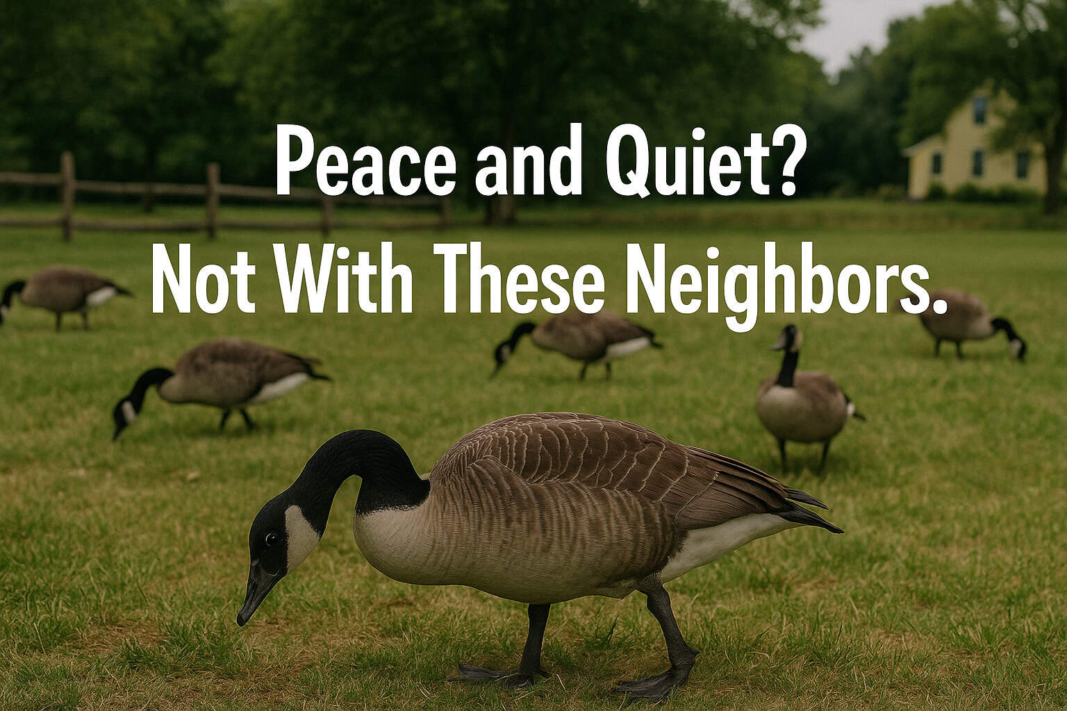 Peace and Quiet? Not With These Neighbors.