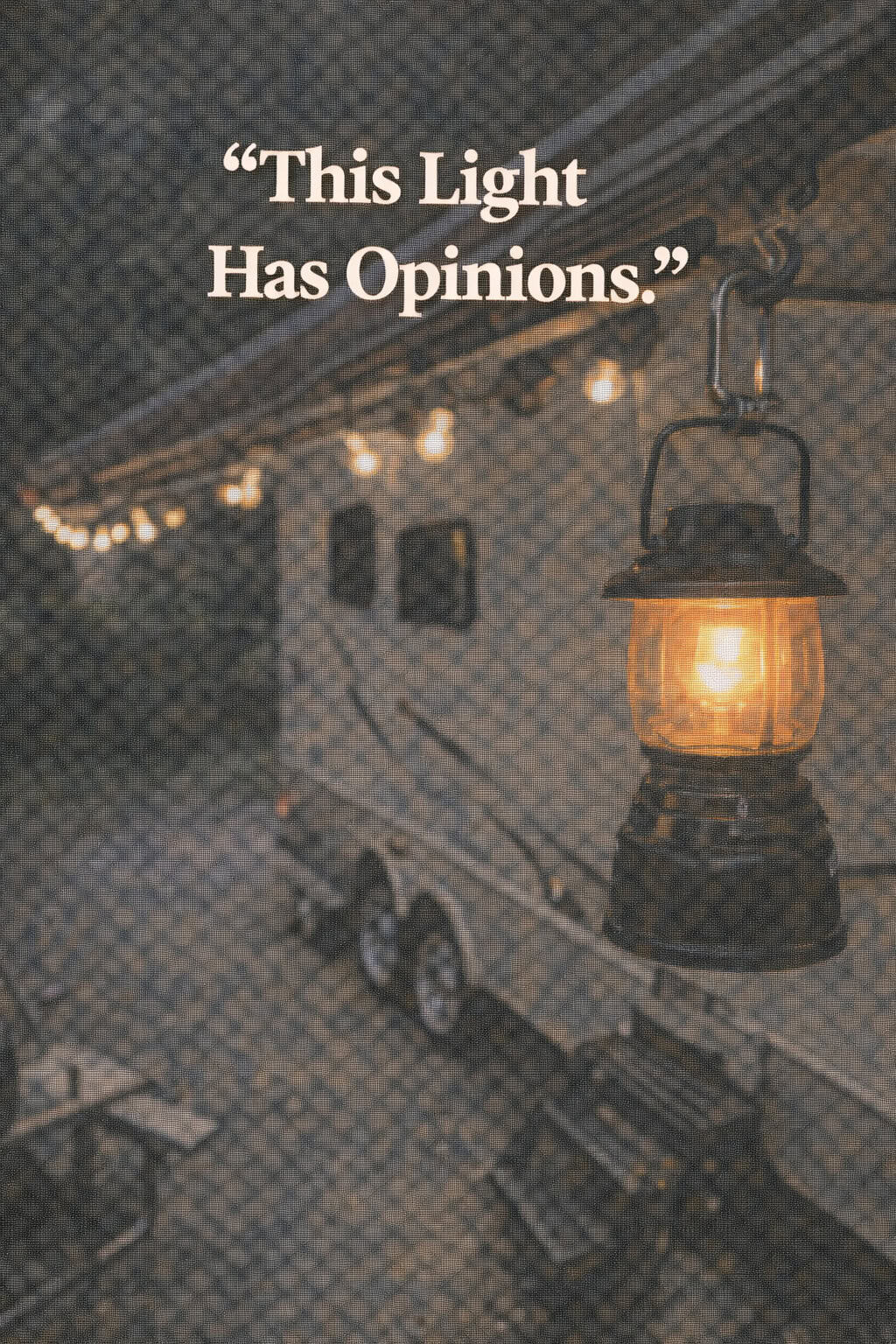 This Light Has Opinions