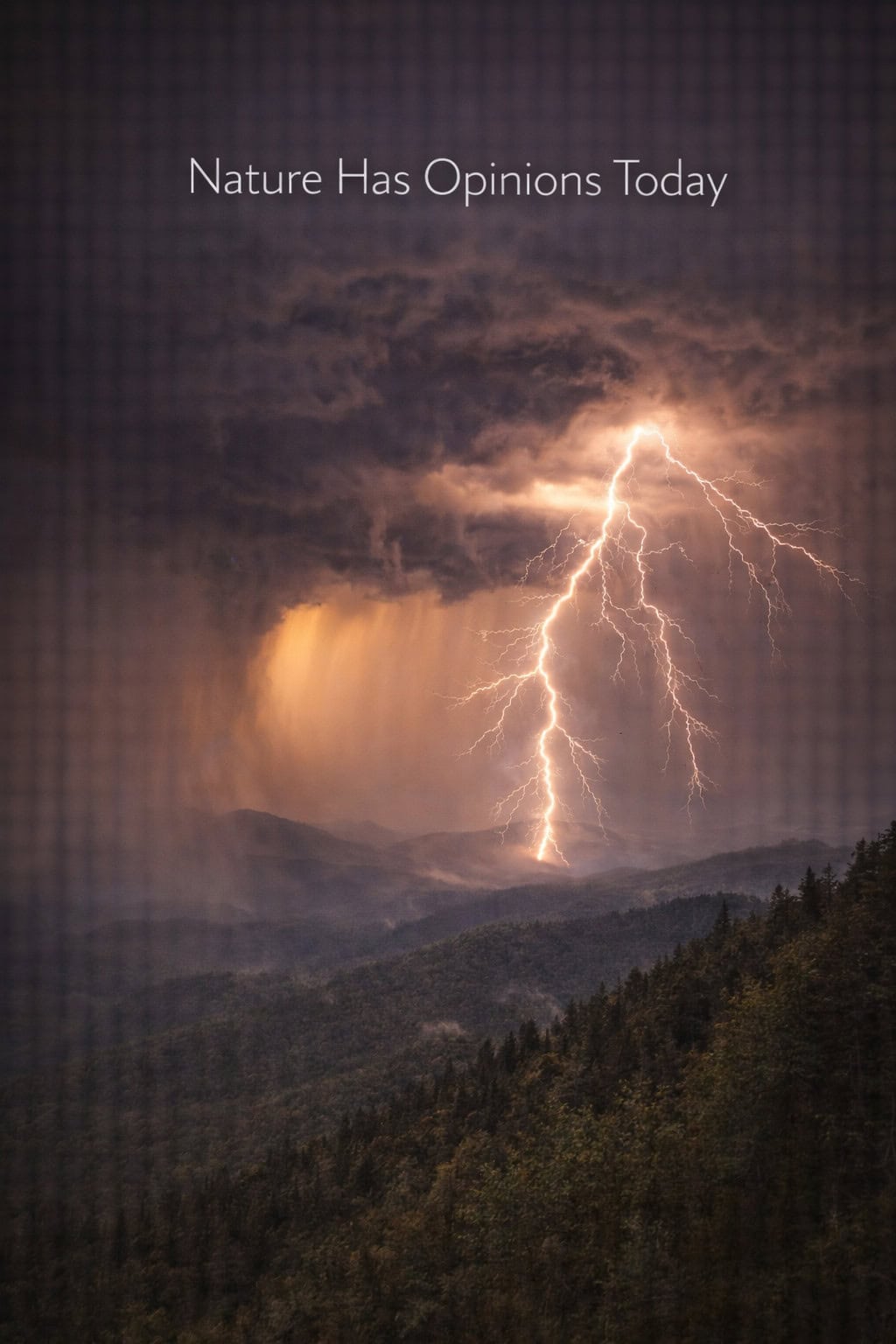 Nature Has Opinions Today